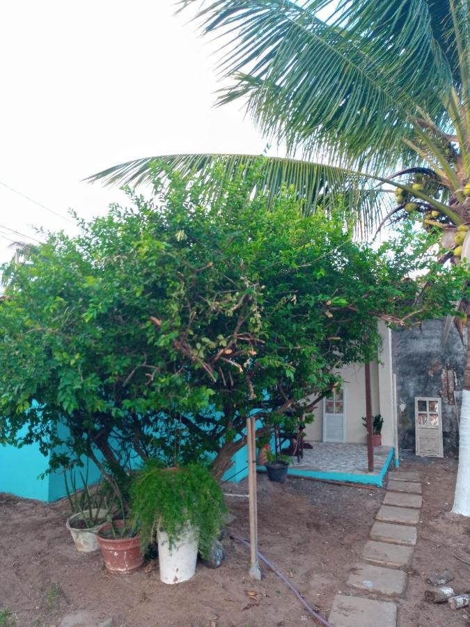 Zen Villas - Chales, Bem-Estar E Conexao Com A Natureza Lauro de Freitas Exterior foto